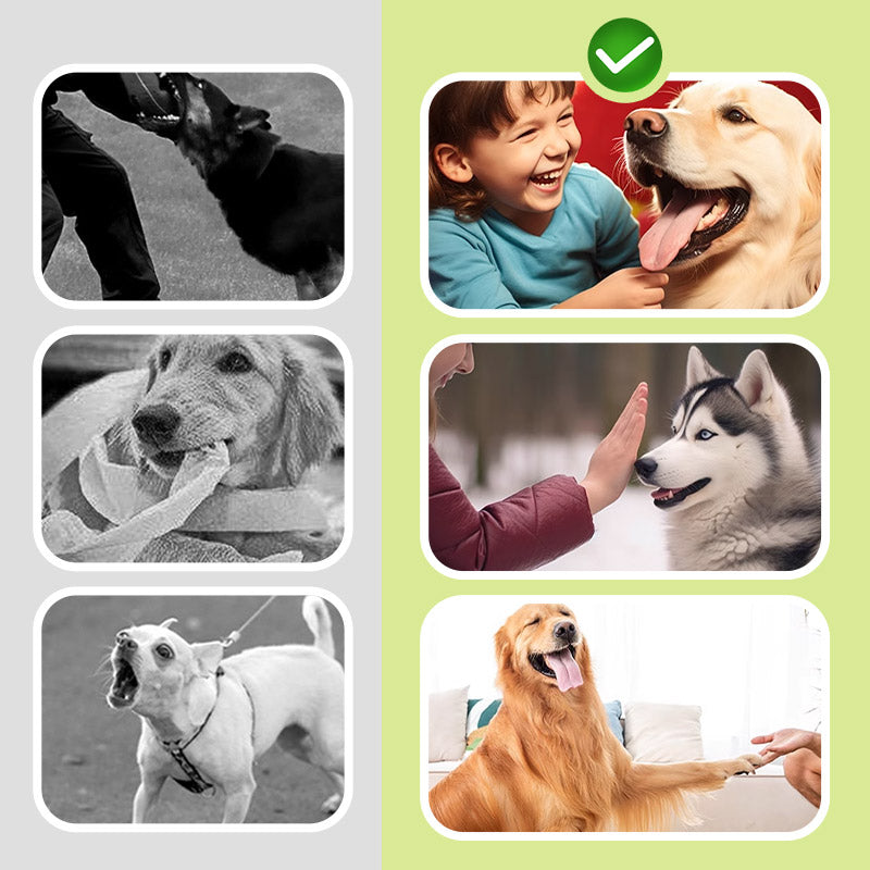 🌠Αθόρυβος Σύντροφος: 🐶Υπερηχητικό Απωθητικό Σκύλων για Απλά Προβλήματα Γαβγίσματος!